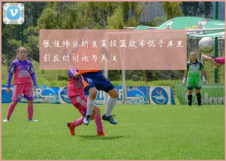 张佳玮分析克莱投篮效率低于库里引发的讨论与关注