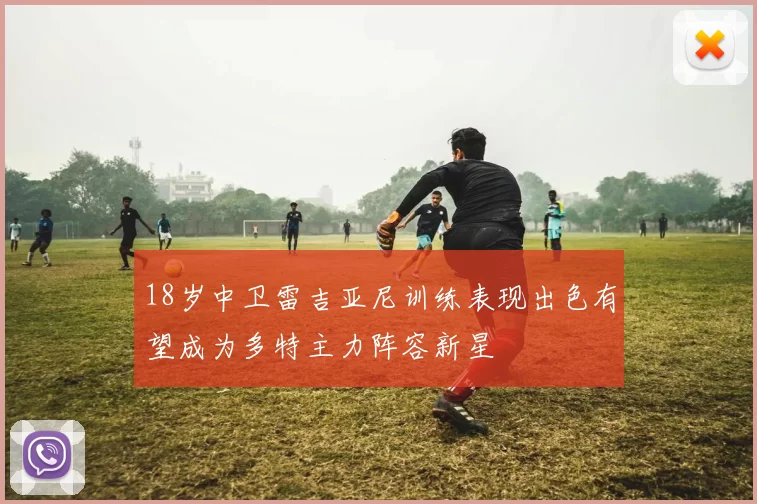 18岁中卫雷吉亚尼训练表现出色有望成为多特主力阵容新星
