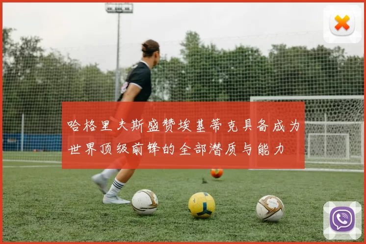 哈格里夫斯盛赞埃基蒂克具备成为世界顶级前锋的全部潜质与能力